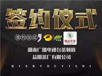 湘益茯，美茗揚 丨湘益茯茶與茶頻道達成長(cháng)期戰略合作