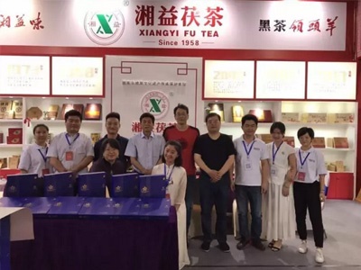 東莞第十屆國際茶葉博覽會(huì )展風(fēng)采