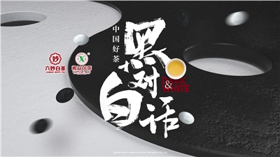 首屆黑白對話(huà)高峰論壇圓滿(mǎn)落幕！湘益茯茶備受關(guān)注！