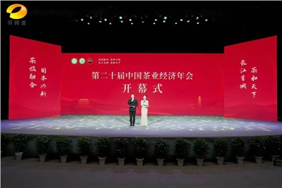 【聚焦第二十屆中國茶業(yè)經(jīng)濟年會(huì )】益陽(yáng)茶廠(chǎng)榮獲“民族團結互助企業(yè)”、“2024年度茶業(yè)重點(diǎn)企業(yè)”榮譽(yù)稱(chēng)號