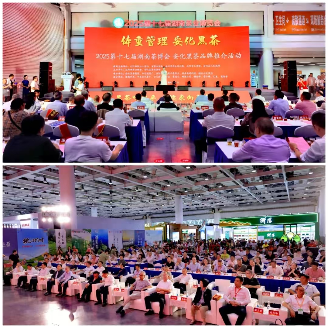 破局邊銷(xiāo)二十載，開(kāi)啟茯茶新紀元——湘益茯茶“紀廿”新品璀璨發(fā)布